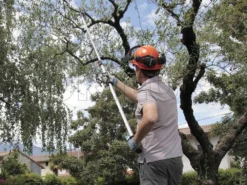 Archman Helium MT.2 - Forbicione Telescopico Professionale - Asta 170/270 Cm - Ø 35 Mm 27 Archman Helium MT.2 - Forbicione Telescopico Professionale - Asta 170/270 Cm - Ø 35 Mm -Cura Del Giardino archman helium mt 2 forbicione telescopico professionale asta 170 270 cm o 35 mm forbicione su asta di prolunga archman 10126 0 1487755711 Helium 045