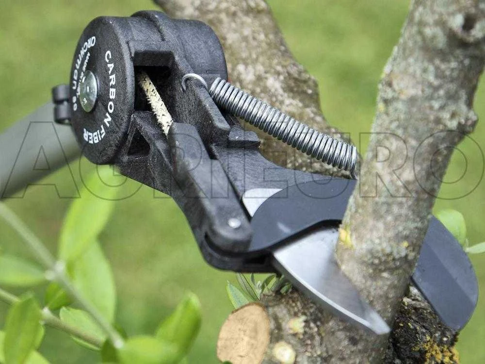 Archman Helium MT.4 - Forbicione Da Potatura Telescopico Professionale - Asta 240/420cm - Ø 35 Mm 3 Archman Helium MT.4 - Forbicione Da Potatura Telescopico Professionale - Asta 240/420cm - Ø 35 Mm - immagine 3