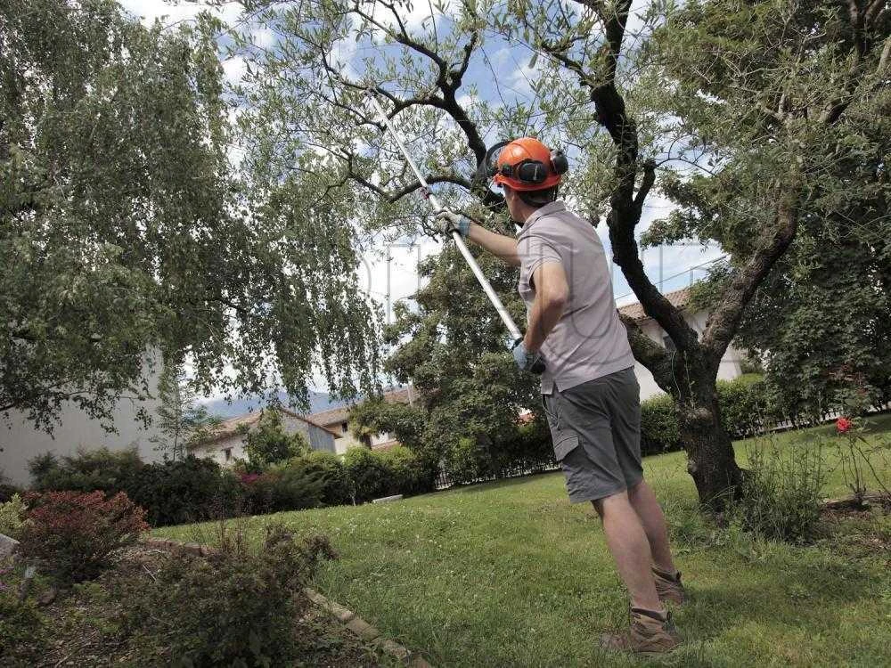 Archman Helium MT.4 - Forbicione Da Potatura Telescopico Professionale - Asta 240/420cm - Ø 35 Mm 2 Archman Helium MT.4 - Forbicione Da Potatura Telescopico Professionale - Asta 240/420cm - Ø 35 Mm - immagine 2