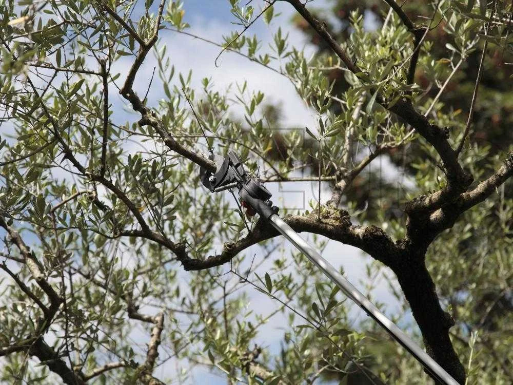 Archman Helium MT.4 - Forbicione Da Potatura Telescopico Professionale - Asta 240/420cm - Ø 35 Mm 12 Archman Helium MT.4 - Forbicione Da Potatura Telescopico Professionale - Asta 240/420cm - Ø 35 Mm - immagine 12