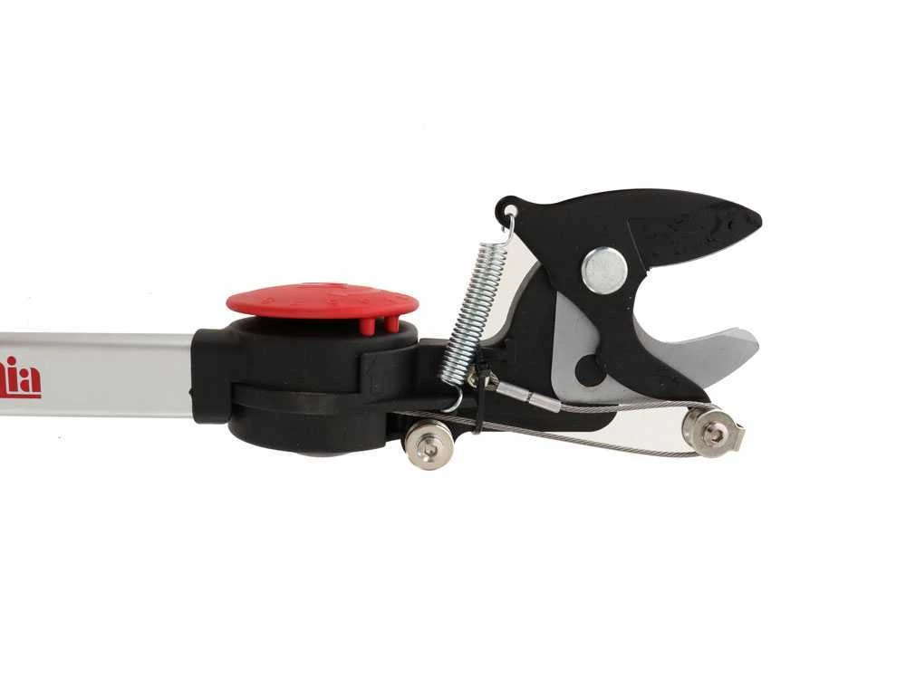 Ausonia - Forbicione Da Potatura Asta Fissa 2mt - Ø 35mm - Testa Rotante - Svettatoio 2 Ausonia - Forbicione Da Potatura Asta Fissa 2mt - Ø 35mm - Testa Rotante - Svettatoio - immagine 2