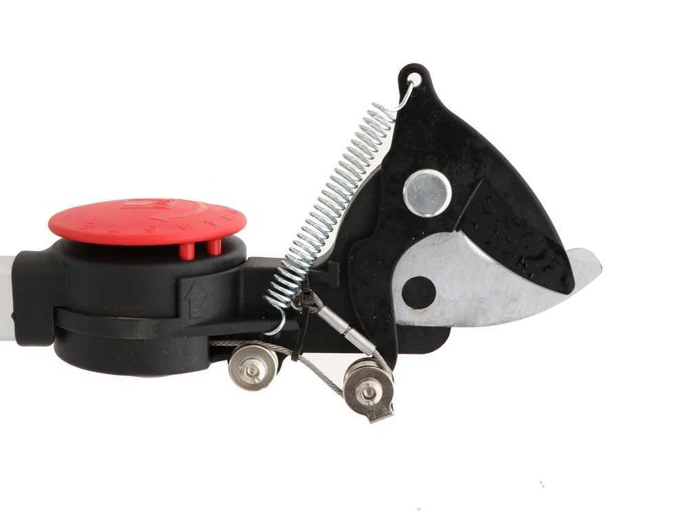 Ausonia - Forbicione Da Potatura Asta Fissa 2mt - Ø 35mm - Testa Rotante - Svettatoio 10 Ausonia - Forbicione Da Potatura Asta Fissa 2mt - Ø 35mm - Testa Rotante - Svettatoio - immagine 10