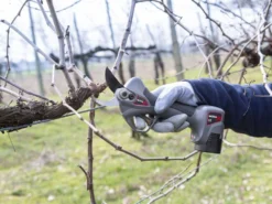 Ausonia Nativa Medium - Forbice Elettriche Da Potatura - 2x 16.8V 2.5Ah - Ø32 Mm -Cura Del Giardino ausonia nativa medium forbice elettriche da potatura 2x 16 8v 2 5ah 32 mm forbice per potatura ausonia nativa medium 32438 1 1641306416 IMG 61d45930c8905