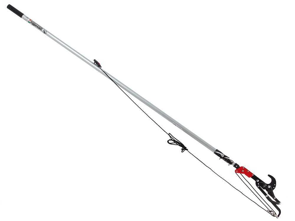 Ausonia - Svettatoio A Pertica Professionale - Su Asta Telescopica Da 240-600 Cm - Ø 40 Mm 3 Ausonia - Svettatoio A Pertica Professionale - Su Asta Telescopica Da 240-600 Cm - Ø 40 Mm - immagine 3