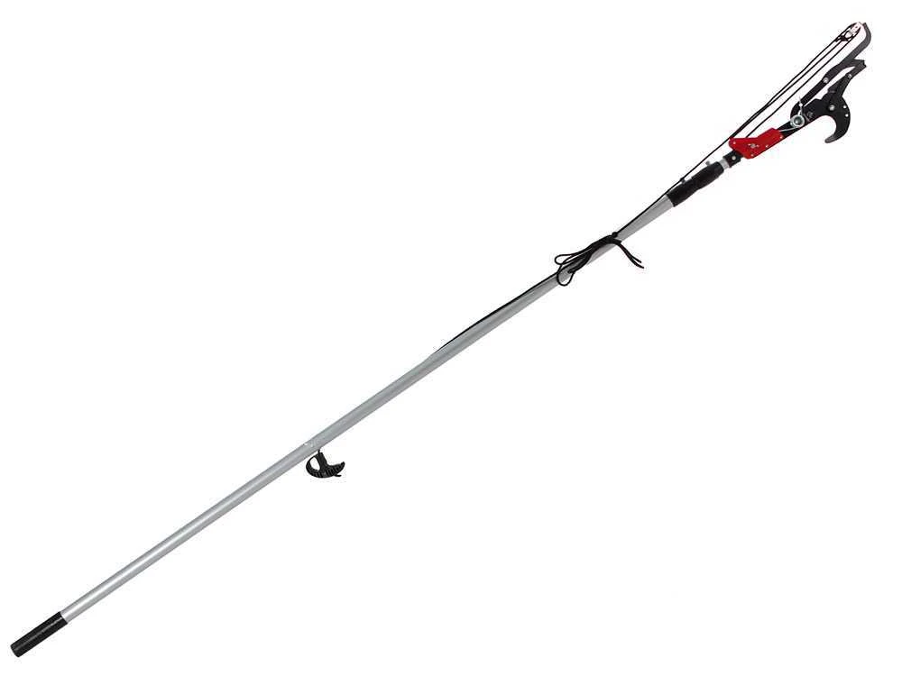 Ausonia - Svettatoio A Pertica Professionale - Su Asta Telescopica Da 240-600 Cm - Ø 40 Mm 7 Ausonia - Svettatoio A Pertica Professionale - Su Asta Telescopica Da 240-600 Cm - Ø 40 Mm - immagine 7