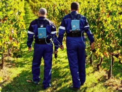 Batteria A Zaino Li-Ion 170 Campagnola - Gruppo Di Alimentazione Per Attrezzi Elettrici -Cura Del Giardino batteria a zaino li ion 170 campagnola gruppo di alimentazione per attrezzi elettrici gruppo di alimentazione campagnola li ion 170 25335 3 1601300281 IMG 5f71e7398a9bb