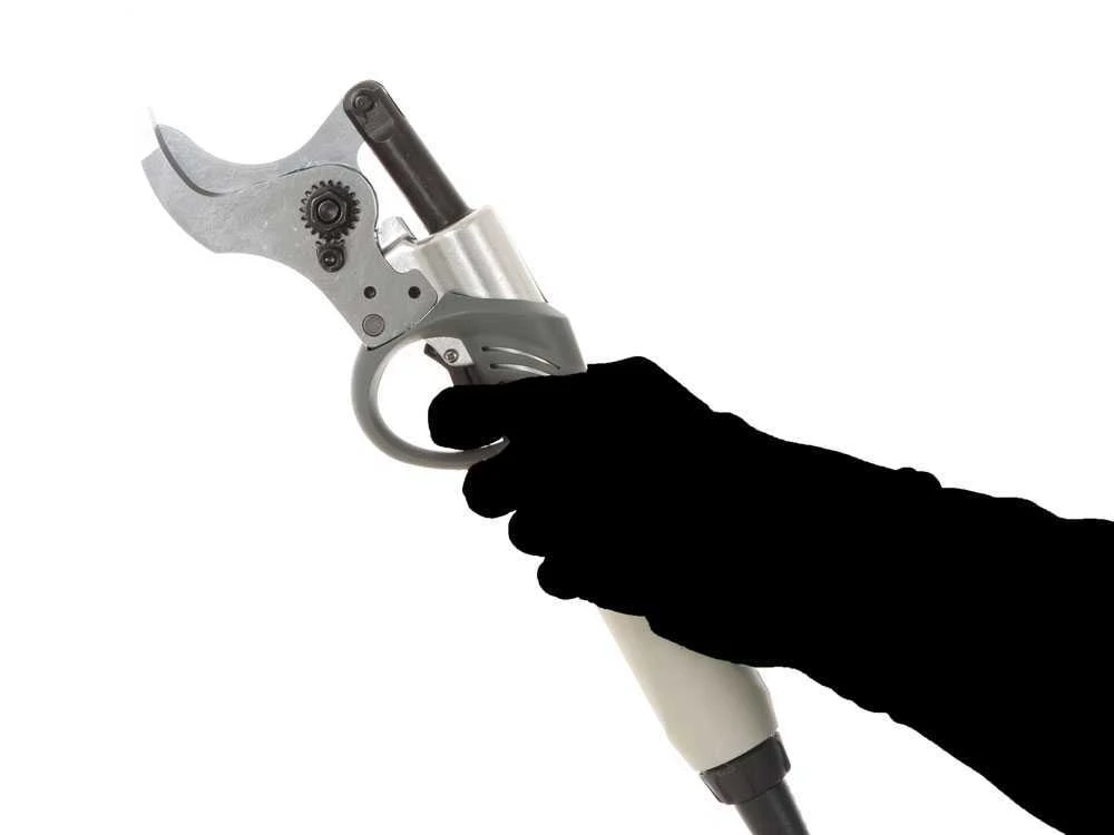 BlackStone B-PS 45 - Forbice Elettrica Da Potatura - 36V 4Ah 4 BlackStone B-PS 45 - Forbice Elettrica Da Potatura - 36V 4Ah - immagine 4