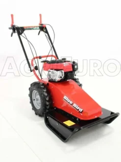 Blue Bird Domino - Trinciaerba A Scoppio - Lama E Filo - B&S 850E 21 Blue Bird Domino - Trinciaerba A Scoppio - Lama E Filo - B&S 850E -Cura Del Giardino blue bird domino trinciaerba a scoppio lama e filo b s 850e presentazione blue bird domino 850 5326 0 1393257981 IMG 9948