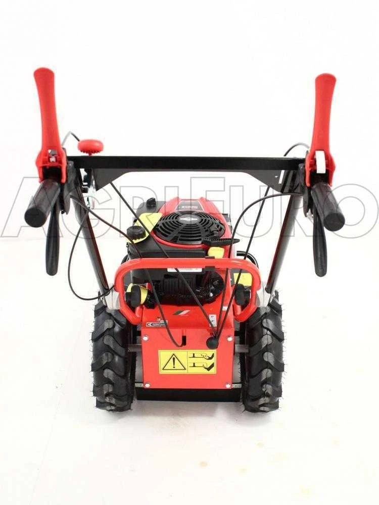 Blue Bird Domino - Trinciaerba A Scoppio - Lama E Filo - B&S 850E 7 Blue Bird Domino - Trinciaerba A Scoppio - Lama E Filo - B&S 850E - immagine 7