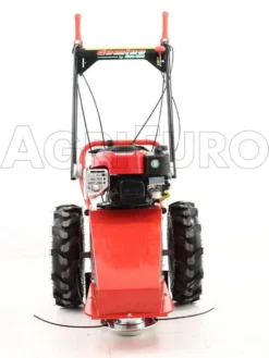 Blue Bird Domino - Trinciaerba A Scoppio - Lama E Filo - B&S 850E 22 Blue Bird Domino - Trinciaerba A Scoppio - Lama E Filo - B&S 850E -Cura Del Giardino blue bird domino trinciaerba a scoppio lama e filo b s 850e presentazione blue bird domino 850 5326 0 1393338202 IMG 0302