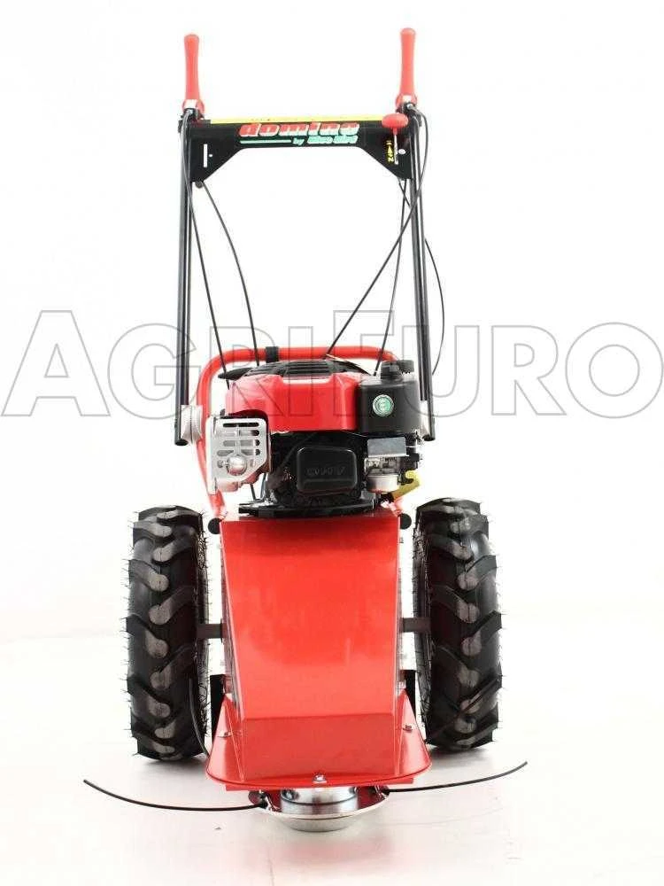 Blue Bird Domino - Trinciaerba A Scoppio - Lama E Filo - B&S 850E 10 Blue Bird Domino - Trinciaerba A Scoppio - Lama E Filo - B&S 850E - immagine 10