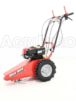 Blue Bird Domino - Trinciaerba A Scoppio - Lama E Filo - B&S 850E 23 Blue Bird Domino - Trinciaerba A Scoppio - Lama E Filo - B&S 850E -Cura Del Giardino blue bird domino trinciaerba a scoppio lama e filo b s 850e presentazione blue bird domino 850 5326 0 1393338205 IMG 0301