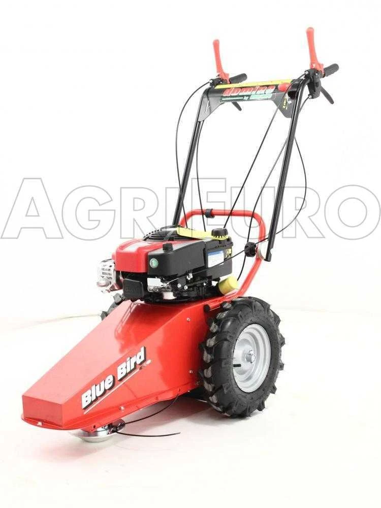 Blue Bird Domino - Trinciaerba A Scoppio - Lama E Filo - B&S 850E 12 Blue Bird Domino - Trinciaerba A Scoppio - Lama E Filo - B&S 850E - immagine 12