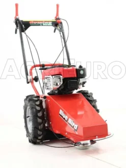 Blue Bird Domino - Trinciaerba A Scoppio - Lama E Filo - B&S 850E 25 Blue Bird Domino - Trinciaerba A Scoppio - Lama E Filo - B&S 850E -Cura Del Giardino blue bird domino trinciaerba a scoppio lama e filo b s 850e presentazione blue bird domino 850 5326 0 1393338207 IMG 0298