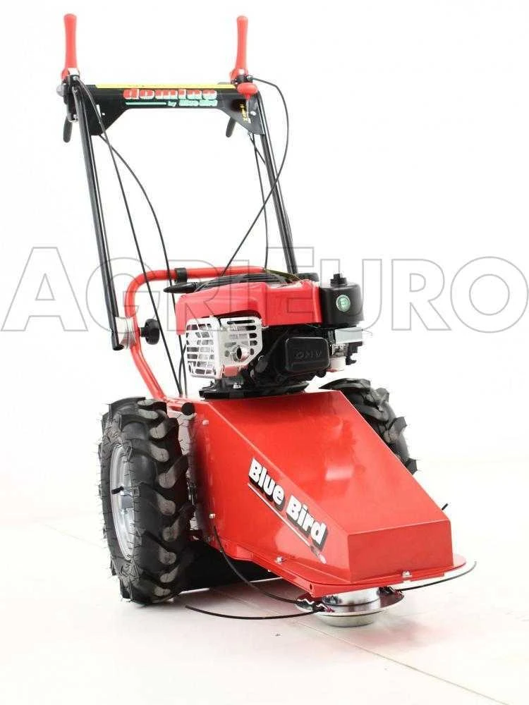 Blue Bird Domino - Trinciaerba A Scoppio - Lama E Filo - B&S 850E 13 Blue Bird Domino - Trinciaerba A Scoppio - Lama E Filo - B&S 850E - immagine 13