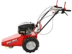 Blue Bird Domino - Trinciaerba A Scoppio - Lama E Filo - Honda GCV 200 -Cura Del Giardino blue bird domino trinciaerba a scoppio lama e filo honda gcv 200 trinciaerba a scoppio domino blue bird honda gcv 200 22803 0 1585930718 IMG 5e8761dece59c