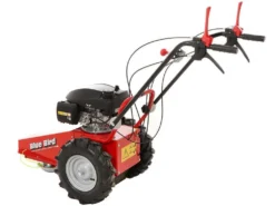 Blue Bird Domino - Trinciaerba A Scoppio - Lama E Filo - Honda GCV 200 -Cura Del Giardino blue bird domino trinciaerba a scoppio lama e filo honda gcv 200 trinciaerba a scoppio domino blue bird honda gcv 200 22803 0 1585930718 IMG 5e8761dee9172