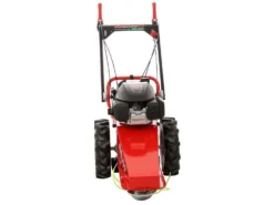 Blue Bird Domino - Trinciaerba A Scoppio - Lama E Filo - Honda GCV 200 -Cura Del Giardino blue bird domino trinciaerba a scoppio lama e filo honda gcv 200 trinciaerba a scoppio domino blue bird honda gcv 200 22803 0 1585930719 IMG 5e8761df2d270