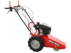 Blue Bird Domino - Trinciaerba A Scoppio - Lama E Filo - Honda GCV 200 -Cura Del Giardino blue bird domino trinciaerba a scoppio lama e filo honda gcv 200 trinciaerba a scoppio domino blue bird honda gcv 200 22803 0 1585930719 IMG 5e8761df339db