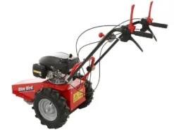 Blue Bird Domino - Trinciaerba A Scoppio - Lama E Filo - Honda GCV 200 -Cura Del Giardino blue bird domino trinciaerba a scoppio lama e filo honda gcv 200 trinciaerba a scoppio domino blue bird honda gcv 200 22803 0 1585930719 IMG 5e8761df5922f