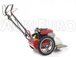 Blue Bird FLO Pro Speed 6BS - Trinciaerba A Scoppio - Lama E Filo - B&S 850E -Cura Del Giardino blue bird flo pro speed 6bs trinciaerba a scoppio lama e filo b s 850e trinciaerba flo pro speed 6bs b s 850e 10808 0 1498742258 IMG 9753