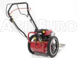 Blue Bird FLO Pro Speed 6BS - Trinciaerba A Scoppio - Lama E Filo - B&S 850E -Cura Del Giardino blue bird flo pro speed 6bs trinciaerba a scoppio lama e filo b s 850e trinciaerba flo pro speed 6bs b s 850e 10808 0 1498742268 IMG 9761