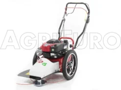 Blue Bird FLO Pro Speed 6BS - Trinciaerba A Scoppio - Lama E Filo - B&S 850E -Cura Del Giardino blue bird flo pro speed 6bs trinciaerba a scoppio lama e filo b s 850e trinciaerba flo pro speed 6bs b s 850e 10808 0 1498742269 IMG 9751