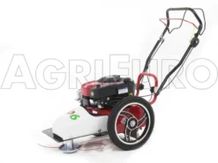 Blue Bird FLO Pro Speed 6BS - Trinciaerba A Scoppio - Lama E Filo - B&S 850E -Cura Del Giardino blue bird flo pro speed 6bs trinciaerba a scoppio lama e filo b s 850e trinciaerba flo pro speed 6bs b s 850e 10808 0 1498742271 IMG 9758