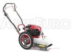 Blue Bird FLO Speed 6BS - Trinciaerba A Scoppio - Lama E Filo - B&S 675EX -Cura Del Giardino blue bird flo speed 6bs trinciaerba a scoppio lama e filo b s 675ex trinciaerba flo speed 6bs b s 675ex 10804 0 1498641587 IMG 9637