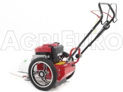 Blue Bird FLO Speed 6BS - Trinciaerba A Scoppio - Lama E Filo - B&S 675EX -Cura Del Giardino blue bird flo speed 6bs trinciaerba a scoppio lama e filo b s 675ex trinciaerba flo speed 6bs b s 675ex 10804 0 1498641589 IMG 9638