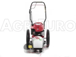 Blue Bird FLO Speed 6BS - Trinciaerba A Scoppio - Lama E Filo - B&S 675EX -Cura Del Giardino blue bird flo speed 6bs trinciaerba a scoppio lama e filo b s 675ex trinciaerba flo speed 6bs b s 675ex 10804 0 1498641594 IMG 9632