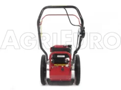 Blue Bird FLO Speed 6BS - Trinciaerba A Scoppio - Lama E Filo - B&S 675EX -Cura Del Giardino blue bird flo speed 6bs trinciaerba a scoppio lama e filo b s 675ex trinciaerba flo speed 6bs b s 675ex 10804 0 1498641595 IMG 9642