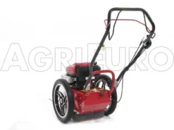 Blue Bird FLO Speed 6BS - Trinciaerba A Scoppio - Lama E Filo - B&S 675EX -Cura Del Giardino blue bird flo speed 6bs trinciaerba a scoppio lama e filo b s 675ex trinciaerba flo speed 6bs b s 675ex 10804 0 1498641598 IMG 9641