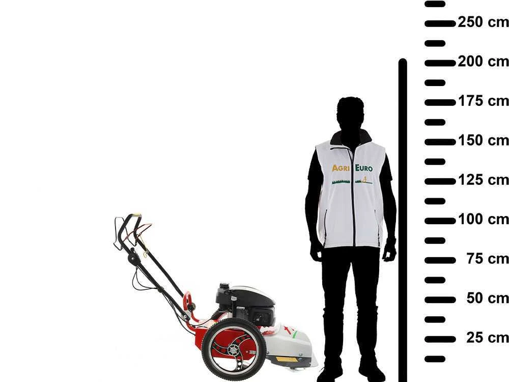 Blue Bird FLO Speed 6HO - Decespugliatore A Ruote A Benzina 4 Tempi Semovente - Honda GCVx170 4 Blue Bird FLO Speed 6HO - Decespugliatore A Ruote A Benzina 4 Tempi Semovente - Honda GCVx170 - immagine 4