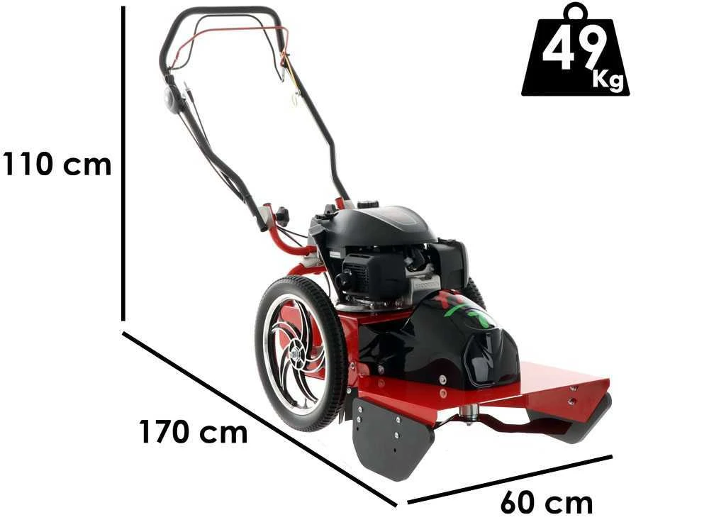 Blue Bird FLO SPEED 7HO - Trinciaerba A Scoppio - Lama E Filo - Honda GCVX 170 3 Blue Bird FLO SPEED 7HO - Trinciaerba A Scoppio - Lama E Filo - Honda GCVX 170 - immagine 3