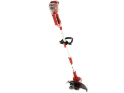 Blue Bird R3S - Tagliabordi A Batteria - 40V - 2.5Ah -Cura Del Giardino blue bird r3s tagliabordi a batteria 40v 2 5ah tagliabordi a batteria blue bird r3s 40v 26961 0 1612263282 IMG 60192f72b5f20