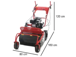 Blue Bird SG0812A - Trinciaerba Professionale A Martelli - Loncin LC175F-2 -Cura Del Giardino blue bird sg0812a trinciaerba professionale a martelli loncin lc175f 2 trinciaerba blue bird sg0812a 16650 1 1557993406 IMG 3540