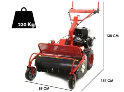 Blue Bird SG0813 - Trinciaerba Professionale A Martelli - Loncin G390F -Cura Del Giardino blue bird sg0813 trinciaerba professionale a martelli loncin g390f trinciaerba blue bird sg0813 25665 1 1603286385 IMG 5f903571a36ae