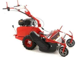 Blue Bird SG0813 - Trinciaerba Professionale A Martelli - Loncin G390F -Cura Del Giardino blue bird sg0813 trinciaerba professionale a martelli loncin g390f trinciaerba blue bird sg0813 25665 1 1603286385 IMG 5f903571b4a03