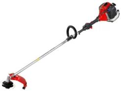 Efco DS 5300 S - Decespugliatore A Scoppio -Cura Del Giardino efco ds 5300 s decespugliatore a scoppio decespugliatore efco ds 5300 s 23533 0 1589548189 IMG 5ebe949d39e0f