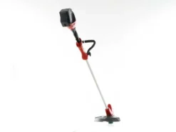 Efco DSi 30 - Decespugliatore A Batteria - 40V - SENZA BATTERIA E CARICABATTERIE -Cura Del Giardino efco dsi 30 decespugliatore a batteria 40v senza batteria e caricabatterie decespugliatore efco dsi 30 34000 6 1649940702 IMG 625818de23053