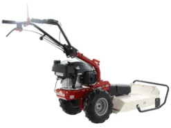 Eurosystems P55 - Trinciaerba A Scoppio - Lama - Honda GCVX 170 -Cura Del Giardino eurosystems p55 trinciaerba a scoppio lama honda gcvx 170 trinciaerba p55 a scoppio eurosystems motorizzato honda gcvx 170 24136 0 1593524225 IMG 5efb4001034ca