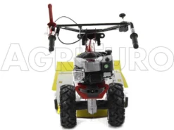 Eurosystems P70 EVO - Trinciaerba A Scoppio - Lama - B&S 850E I/C -Cura Del Giardino eurosystems p70 evo trinciaerba a scoppio lama b s 850e i c trinciaerba a scoppio eurosystems b s p70 con piatto falciatutto 9045 0 1469177073 500318 P70 trinciaerba BeS 850 00df0j02