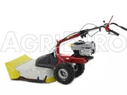 Eurosystems P70 EVO - Trinciaerba A Scoppio - Lama - B&S 850E I/C -Cura Del Giardino eurosystems p70 evo trinciaerba a scoppio lama b s 850e i c trinciaerba a scoppio eurosystems b s p70 con piatto falciatutto 9045 0 1469177074 500318 P70 trinciaerba BeS 850 0000sd2