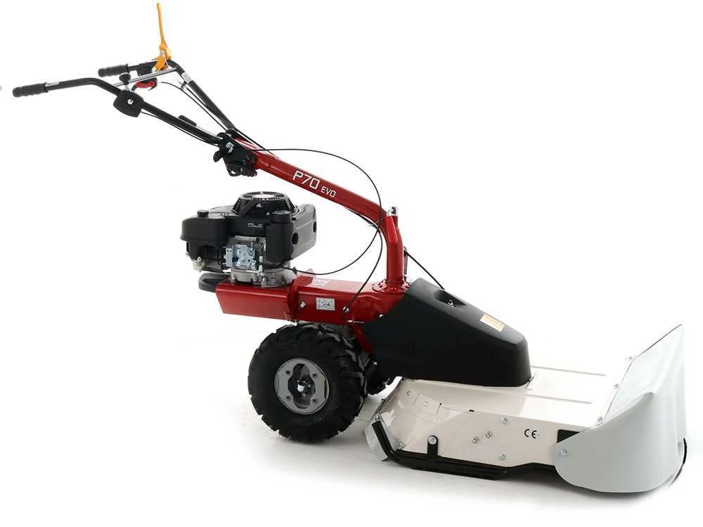 Eurosystems P70 EVO - Trinciaerba A Scoppio - Lama - Loncin 224 OHV 4 Eurosystems P70 EVO - Trinciaerba A Scoppio - Lama - Loncin 224 OHV - immagine 4