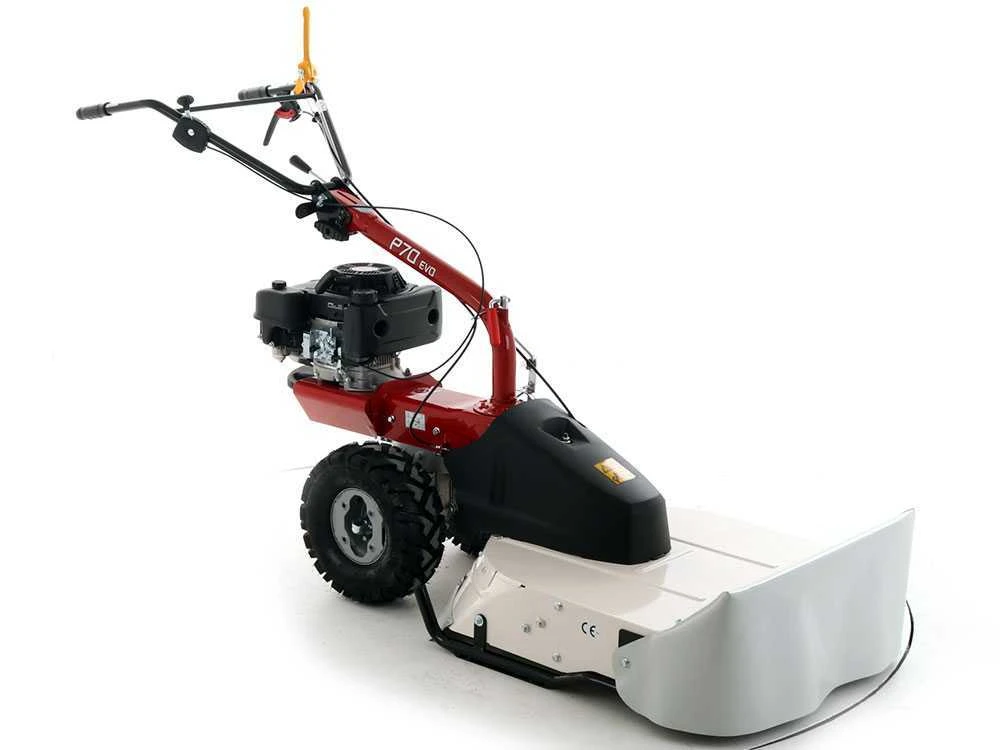 Eurosystems P70 EVO - Trinciaerba A Scoppio - Lama - Loncin 224 OHV 5 Eurosystems P70 EVO - Trinciaerba A Scoppio - Lama - Loncin 224 OHV - immagine 5