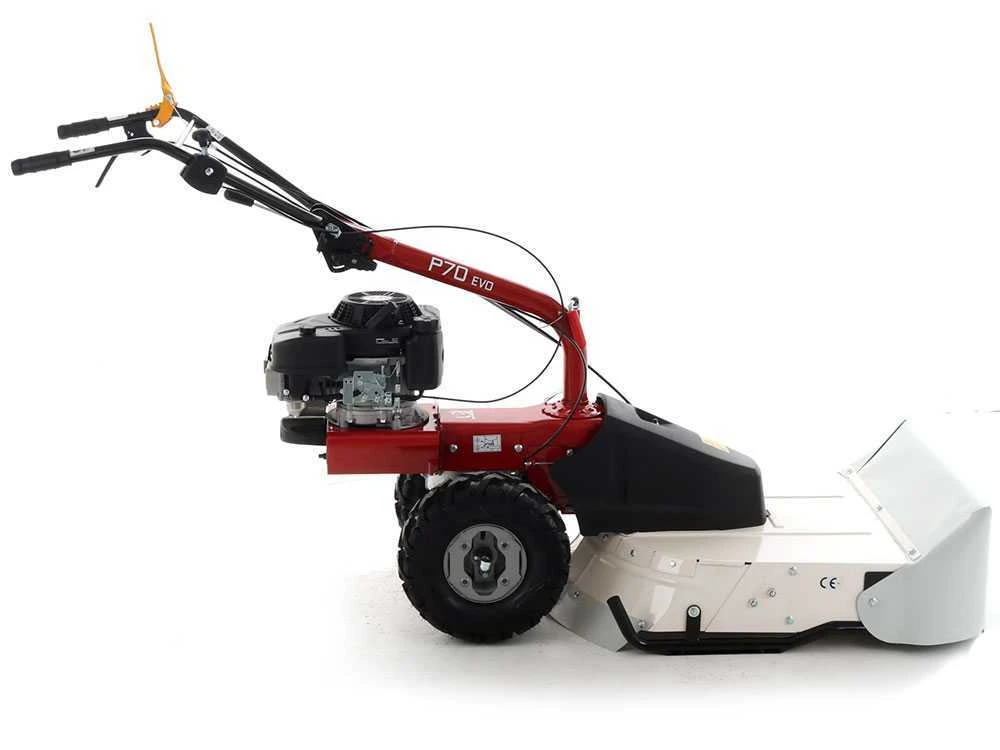 Eurosystems P70 EVO - Trinciaerba A Scoppio - Lama - Loncin 224 OHV 12 Eurosystems P70 EVO - Trinciaerba A Scoppio - Lama - Loncin 224 OHV - immagine 12