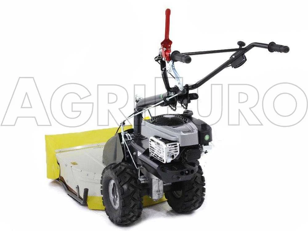 Eurosystems TM 70 RB EVO - Trinciaerba A Scoppio - Lama - B&S 850E I/C 6 Eurosystems TM 70 RB EVO - Trinciaerba A Scoppio - Lama - B&S 850E I/C - immagine 6