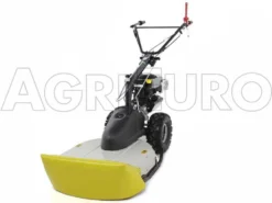 Eurosystems TM 70 RB EVO - Trinciaerba A Scoppio - Lama - B&S 850E I/C 25 Eurosystems TM 70 RB EVO - Trinciaerba A Scoppio - Lama - B&S 850E I/C -Cura Del Giardino eurosystems tm 70 rb evo trinciaerba a scoppio lama b s 850e i c trinciaerba eurosystems mod tm70rb 1138 2 1464267626 4092 TM70 trinciaerba 00030