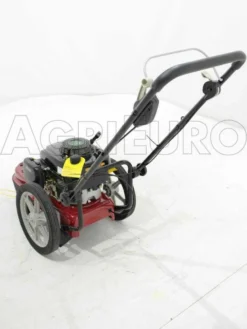 GeoTech DG 56 F - Decespugliatore A Ruote A Benzina 4 Tempi A Spinta -Cura Del Giardino geotech dg 56 f decespugliatore a ruote a benzina 4 tempi a spinta decespugliatore a ruote a benzina dg 56 f 5842 0 1402323509 IMG 8883